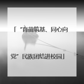 “育苗筑基、同心向党”民族团结进校园