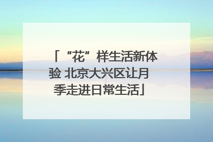“花”样生活新体验 北京大兴区让月季走进日常生活