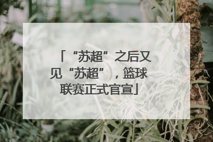 “苏超”之后又见“苏超”，篮球联赛正式官宣