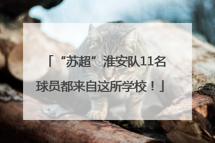 “苏超”淮安队11名球员都来自这所学校！