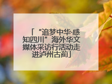 “追梦中华·感知四川”海外华文媒体采访行活动走进泸州古蔺