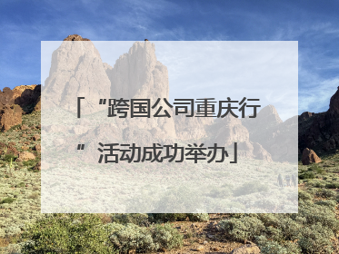 “跨国公司重庆行”活动成功举办