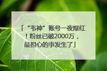 “韦神”账号一夜爆红！粉丝已破2000万，最担心的事发生了