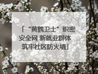 “黄鹤卫士”织密安全网 新就业群体筑牢社区防火墙