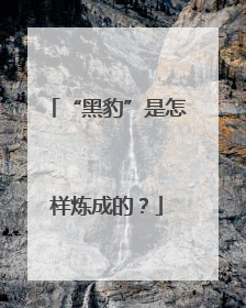 “黑豹”是怎样炼成的？