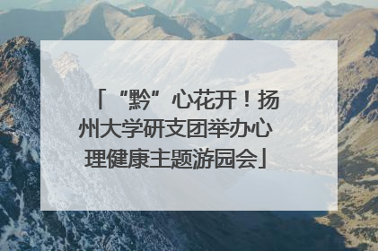“黔”心花开！扬州大学研支团举办心理健康主题游园会