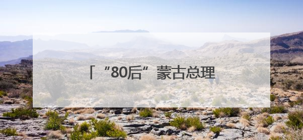 “80后”蒙古总理因何下台？儿子女友网上炫富成导火索