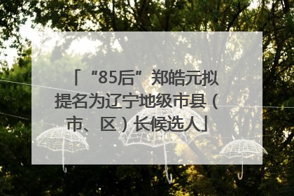 “85后”郑皓元拟提名为辽宁地级市县（市、区）长候选人