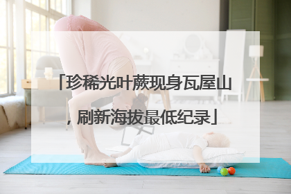珍稀光叶蕨现身瓦屋山，刷新海拔最低纪录