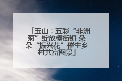 玉山：五彩“非洲菊”绽放横街镇 朵朵“振兴花”催生乡村共富图景
