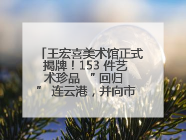 王宏喜美术馆正式揭牌！153 件艺术珍品 “ 回归 ” 连云港，并向市民免费开放