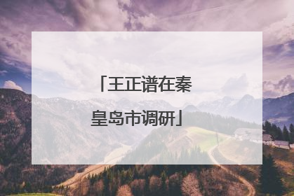 王正谱在秦皇岛市调研
