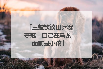 王楚钦谈世乒赛夺冠：自己在马龙面前是小孩