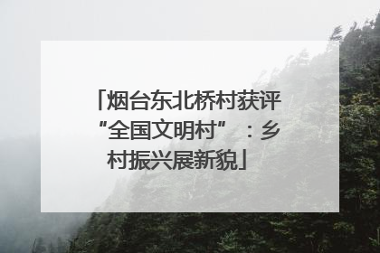 烟台东北桥村获评“全国文明村”：乡村振兴展新貌