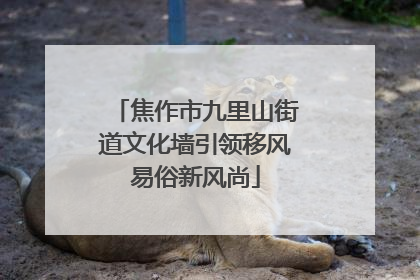 焦作市九里山街道文化墙引领移风易俗新风尚
