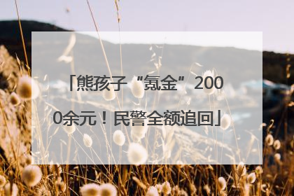 熊孩子“氪金”2000余元！民警全额追回