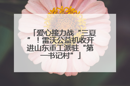 爱心接力战“三夏”！雷沃公益机收开进山东重工派驻“第一书记村”