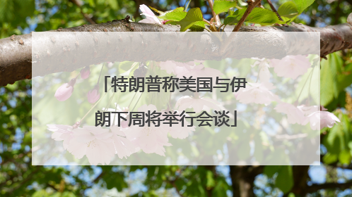 特朗普称美国与伊朗下周将举行会谈