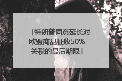 特朗普同意延长对欧盟商品征收50%关税的最后期限