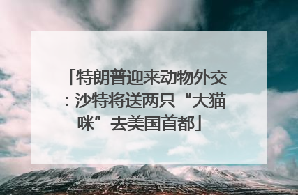特朗普迎来动物外交：沙特将送两只“大猫咪”去美国首都