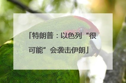 特朗普：以色列“很可能”会袭击伊朗