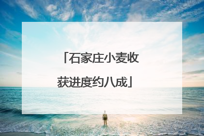 石家庄小麦收获进度约八成