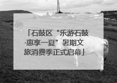 石鼓区“乐游石鼓·惠享一夏”暑期文旅消费季正式启幕