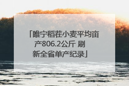 睢宁稻茬小麦平均亩产806.2公斤 刷新全省单产纪录