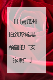 甘肃瓜州拍到珍稀黑颈鹤的“安家照”