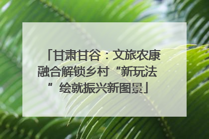 甘肃甘谷：文旅农康融合解锁乡村“新玩法”绘就振兴新图景