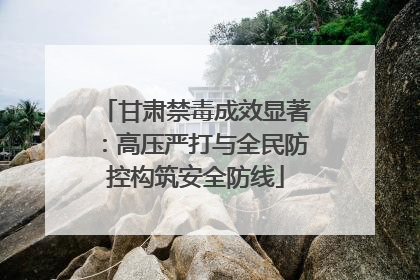 甘肃禁毒成效显著：高压严打与全民防控构筑安全防线