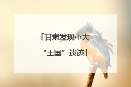 甘肃发现重大“王国”遗迹