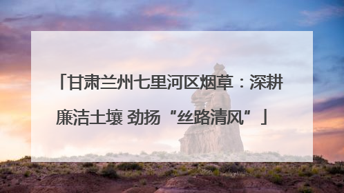 甘肃兰州七里河区烟草：深耕廉洁土壤 劲扬“丝路清风”