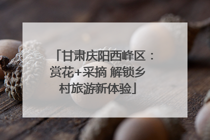 甘肃庆阳西峰区：赏花+采摘 解锁乡村旅游新体验