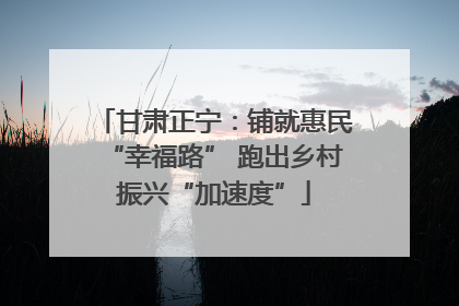 甘肃正宁：铺就惠民“幸福路” 跑出乡村振兴“加速度”