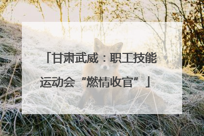 甘肃武威：职工技能运动会“燃情收官”