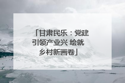 甘肃民乐：党建引领产业兴 绘就乡村新画卷