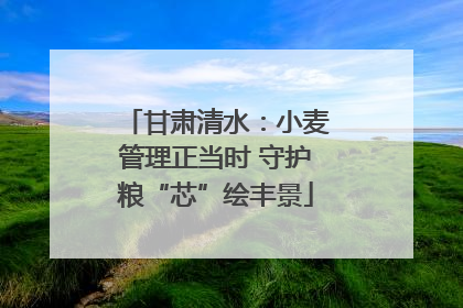 甘肃清水：小麦管理正当时 守护粮“芯”绘丰景