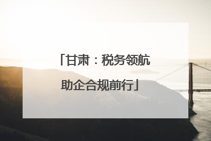 甘肃：税务领航 助企合规前行