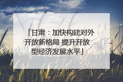 甘肃：加快构建对外开放新格局 提升开放型经济发展水平