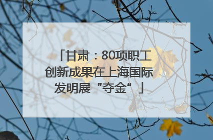 甘肃：80项职工创新成果在上海国际发明展“夺金”