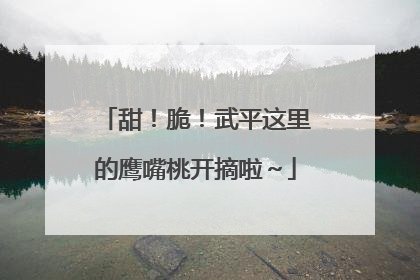 甜！脆！武平这里的鹰嘴桃开摘啦～