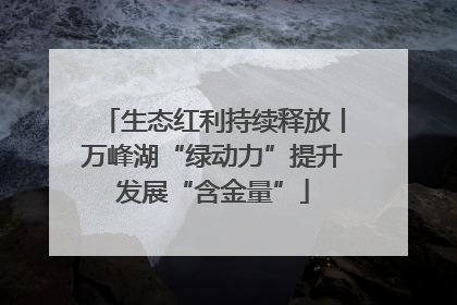 生态红利持续释放丨万峰湖“绿动力”提升发展“含金量”
