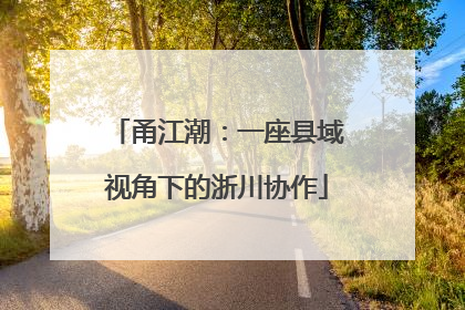 甬江潮：一座县域视角下的浙川协作