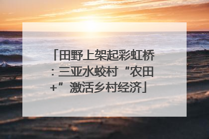 田野上架起彩虹桥：三亚水蛟村“农田+”激活乡村经济