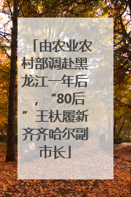 由农业农村部调赴黑龙江一年后，“80后”王杕履新齐齐哈尔副市长