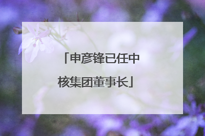 申彦锋已任中核集团董事长