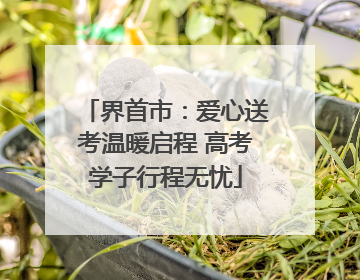 界首市：爱心送考温暖启程 高考学子行程无忧