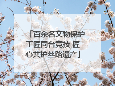 百余名文物保护工匠同台竞技 匠心共护丝路遗产