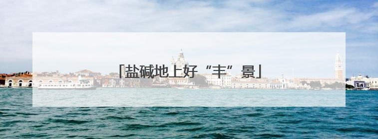 盐碱地上好“丰”景